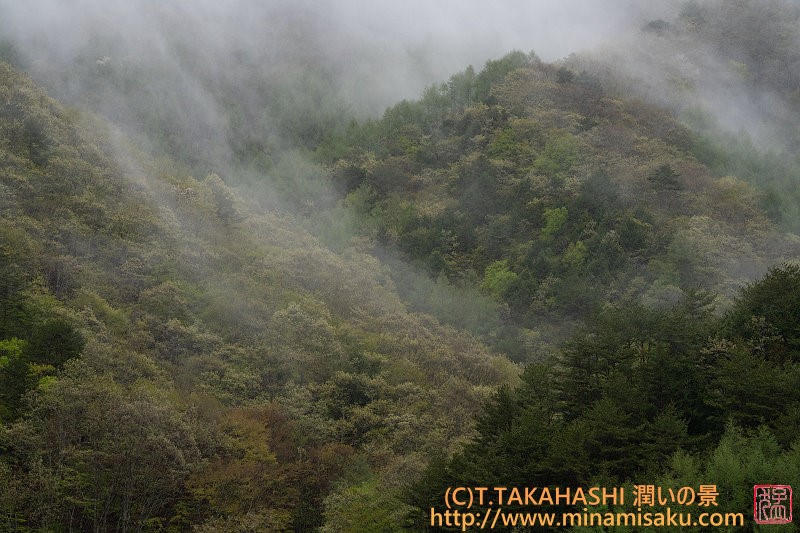 ../Images/7R250506 (101).jpg